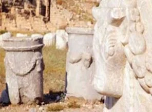 Türkiye ''örnek ülke''