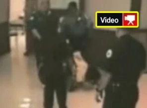 Tüylerinizi diken diken edecek olay