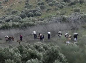 Ülkelerinden kaçan 8 kişi Kızıltepe'ye geldi.