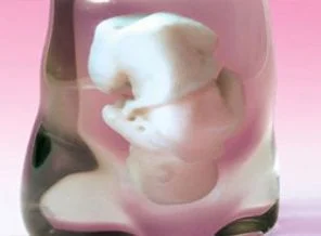 Bebek doğmadan maketini veriyorlar