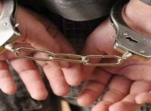 Ceylanpınar'da kaçakçılık operasyonu