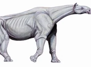 Özbekistan'da İndricotherium fosili