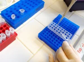 Ruslar Nobel'e itiraz etti: Biz yaptık
