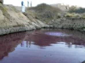 S. Arabistan'da şarap gölü