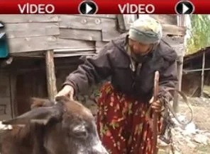 Azize Nine eşeğiyle böyle helalleşti