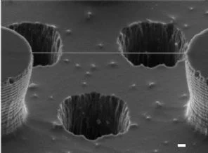 DNA ilk kez doğrudan fotoğraflandı