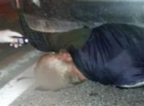 Dokuz canlı İbrahim amca