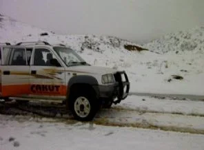 Domates hayat kurtardı!
