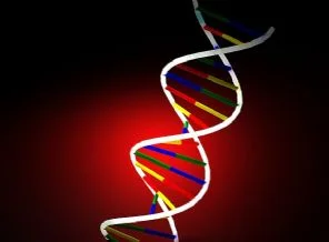 İspanya'da göçmenlere DNA testi