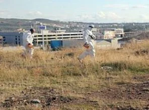 'Nükleer santralden sorumlu ama radyasyonu bulamadı'