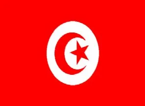 Tunus İsrail'i kınadı