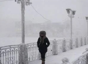 -50'yi gördüler: 210 ölü