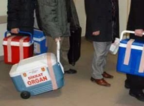 Antalya Guinnes'e hazırlanıyor