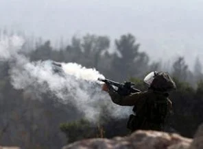 B'Tselem:''İsrail göstericileri öldürüyor''