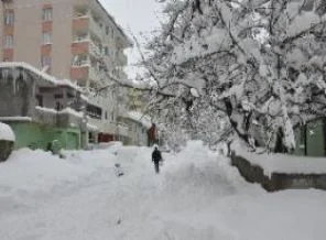 Bitlis'te kar yağışı 7 gün sonra durdu