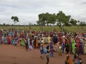 BM: Sudan'da insanlar yaprak ve kök yiyor