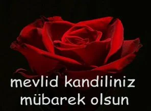 Bugün Mevlid Kandili