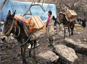 Çocukları için ölümüne yolculuk yapıyorlar