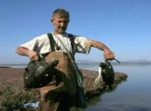 Dalyandan çıkışı engellenen caretta carettalar, dönüş yolunda telef oldu