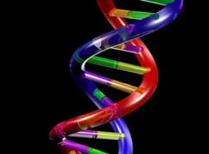 DNA'dan göz ve saç rengi tespiti