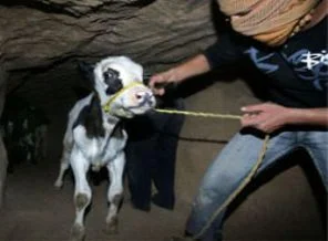 Gazze'de tünel yıkıldı: 1 ölü