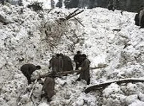 Hindistan'da çığ, 38 öküzü telef etti