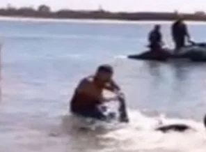 Sahili köpek balıkları bastı!