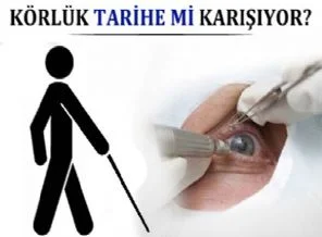 Tıpta mucize: Kör fareler görmeye başladı