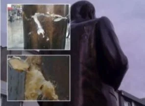 Cumhuriyet: Sultanbeyli'de Atatürk'e baltalı saldırı