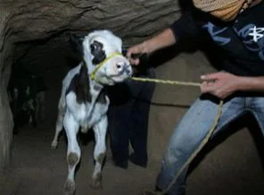 İsrail Mısır'ı maşa olarak mı kullanıyor?