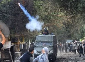Mısır'dan 'göz yaşartan' ithalat