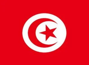Muhalif lideri Tunus'un Ergenekonu mu öldürdü?