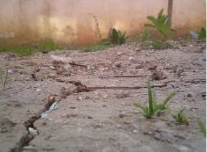 Ortadoğu'yu bekleyen ölümcül tehlike