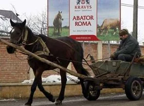 Skandalın sebebi 'işsiz' atlar mı?