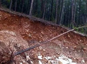 'Taş ocakları Finike ormanlarını yok ediyor'