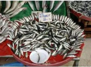 Balık fiyatları artıyor