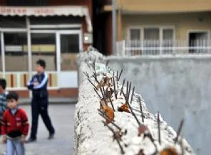 Bir mahalle öyküsü: Hırsızlara karşı direniş cephesi
