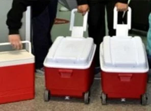 Böbrek nakli yapılan hasta kudurarak öldü!