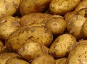 Cezayirli işadamından Kadirli'de inceleme