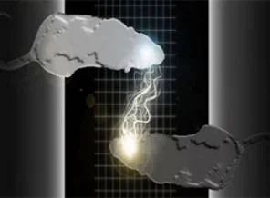Düşünce okuma gerçek oldu
