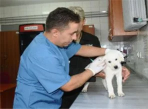 İş bulmak için bunlardan birini seçmelisiniz!