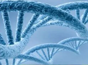 Kanserin onlarca genetik izi tanımlandı