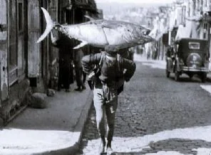 Kaybolan sadece balıklar mı?
