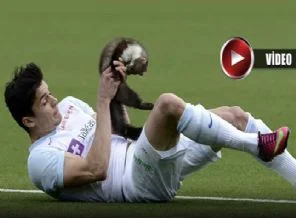 Sansar sahaya girdi, futbolcuyu ısırdı