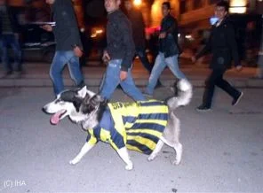 Van'da Fenerbahçelileri kızdıracak görüntü