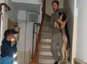 Apartman dairesinden 23 köpek çıktı