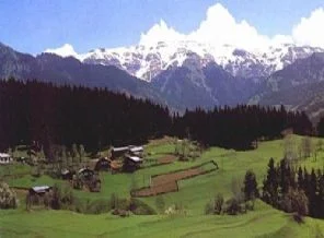 Artvin'de 4 bin hektarda maden arama