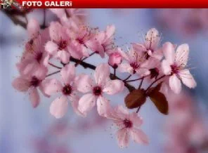 Baharı doya doya yaşayacağınız 5 güzel adres