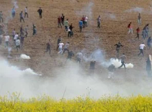 BDP'den Dicle Üniversitesi açıklaması