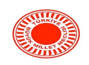 Bir bayrak krizi de Meclis'te patladı